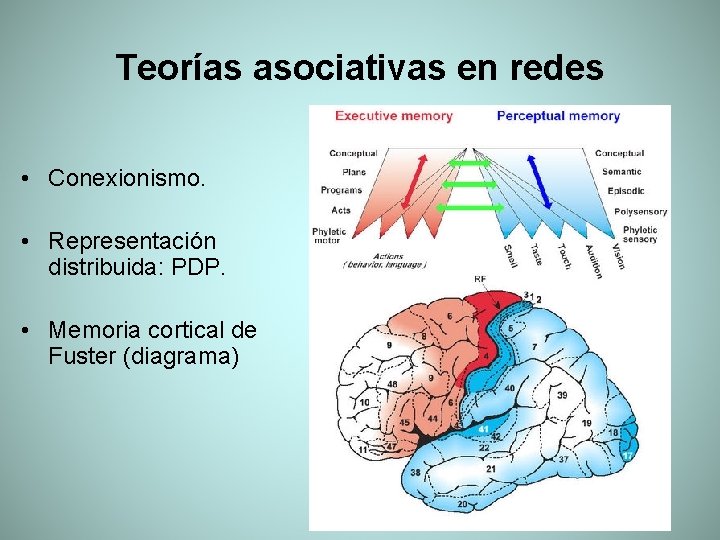 Teorías asociativas en redes • Conexionismo. • Representación distribuida: PDP. • Memoria cortical de