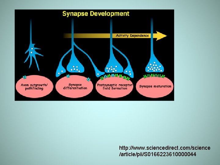 http: //www. sciencedirect. com/science /article/pii/S 0166223610000044 