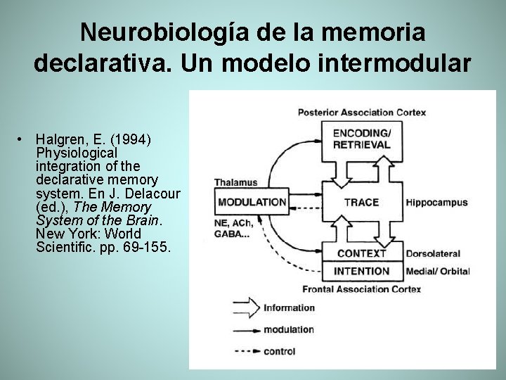 Neurobiología de la memoria declarativa. Un modelo intermodular • Halgren, E. (1994) Physiological integration