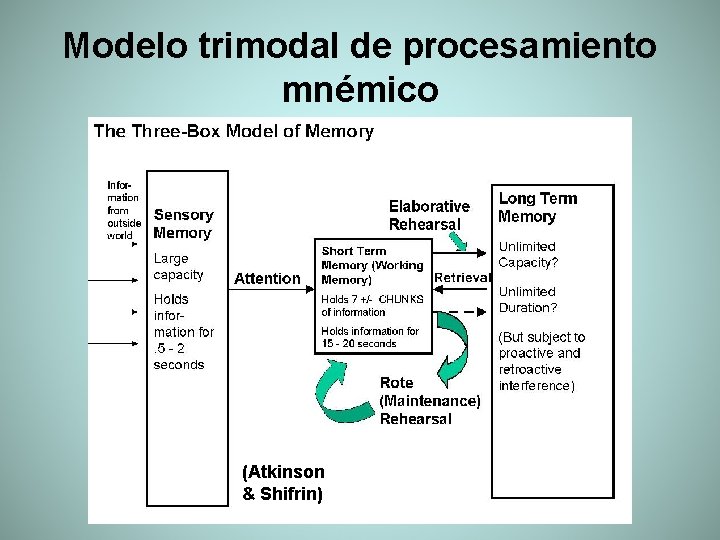 Modelo trimodal de procesamiento mnémico (Atkinson & Shifrin) 