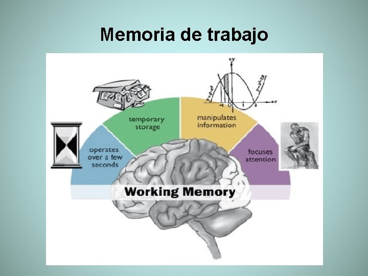 Memoria de trabajo 