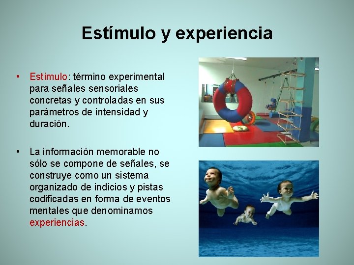 Estímulo y experiencia • Estímulo: término experimental para señales sensoriales concretas y controladas en