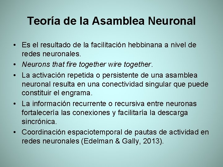 Teoría de la Asamblea Neuronal • Es el resultado de la facilitación hebbinana a