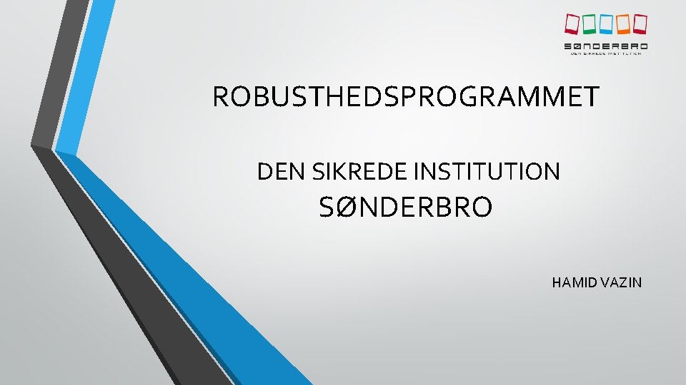 ROBUSTHEDSPROGRAMMET DEN SIKREDE INSTITUTION SØNDERBRO HAMID VAZIN 