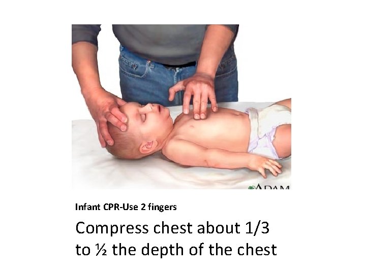 Infant CPR-Use 2 fingers Compress chest about 1/3 to ½ the depth of the
