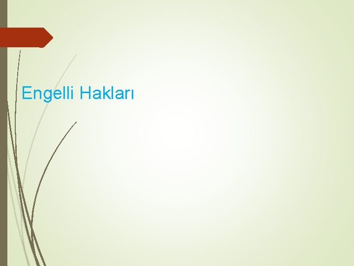 Engelli Hakları 