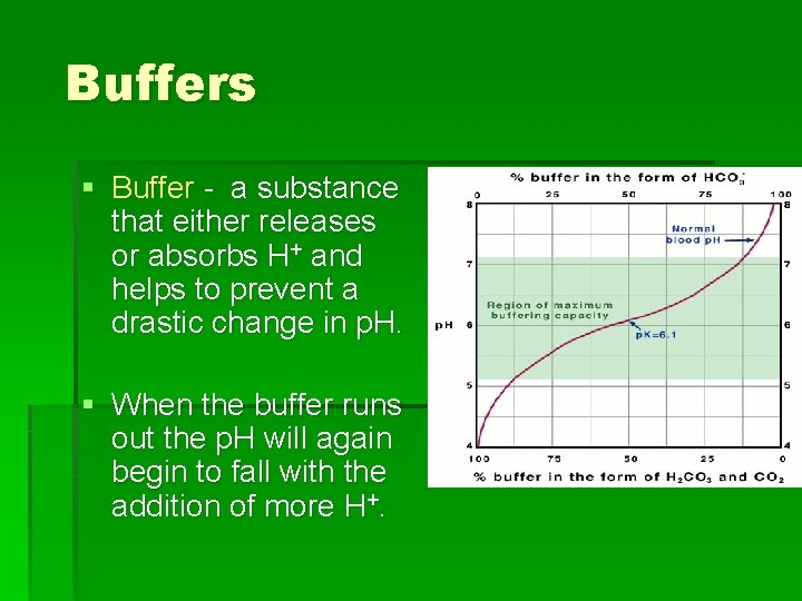 Buffers § Buffer - a substance that either releases or absorbs H+ and helps Buffers § Buffer - a substance that either releases or absorbs H+ and helps