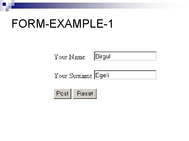 FORM-EXAMPLE-1 