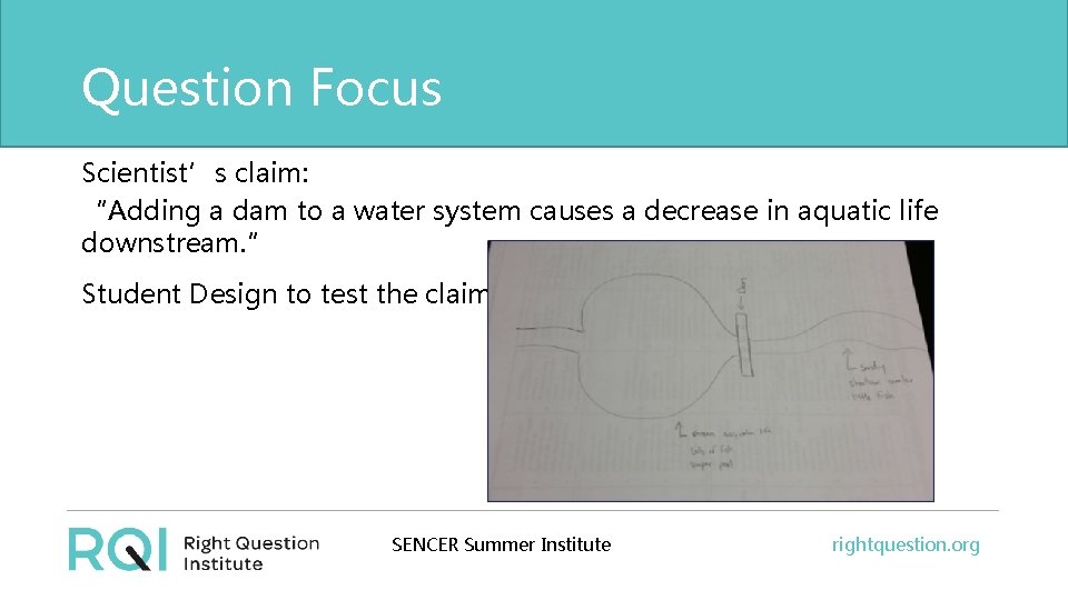 Question Focus Scientist’s claim: “Adding a dam to a water system causes a decrease