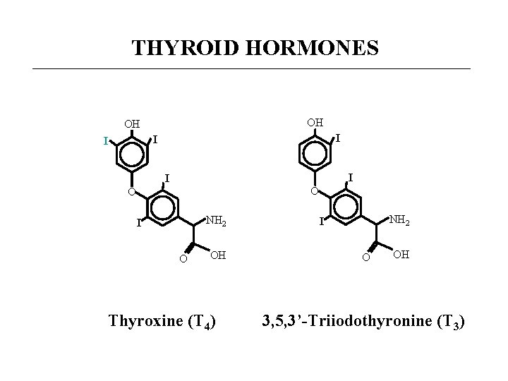 THYROID HORMONES OH OH I I I O O NH 2 I O OH