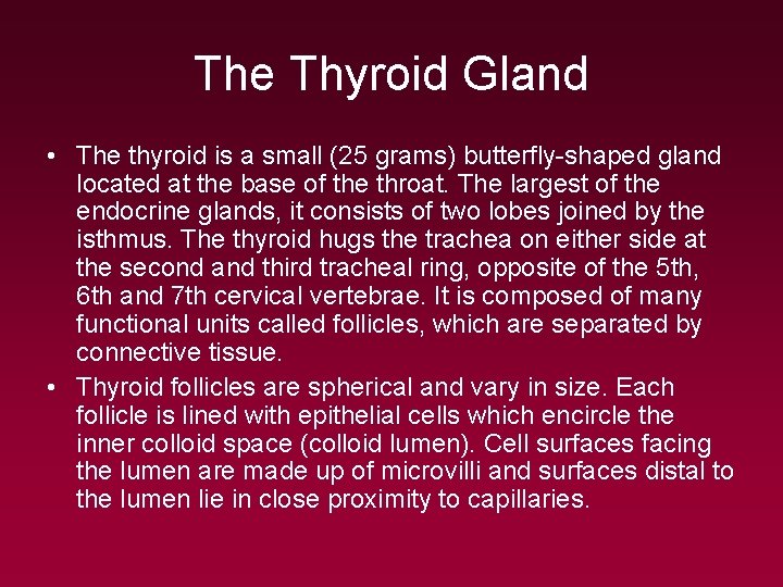 The Thyroid Gland • The thyroid is a small (25 grams) butterfly-shaped gland located