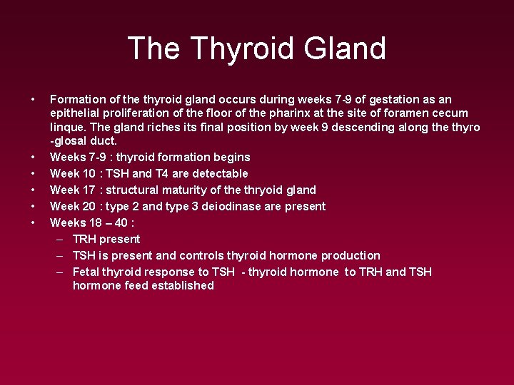 The Thyroid Gland • • • Formation of the thyroid gland occurs during weeks