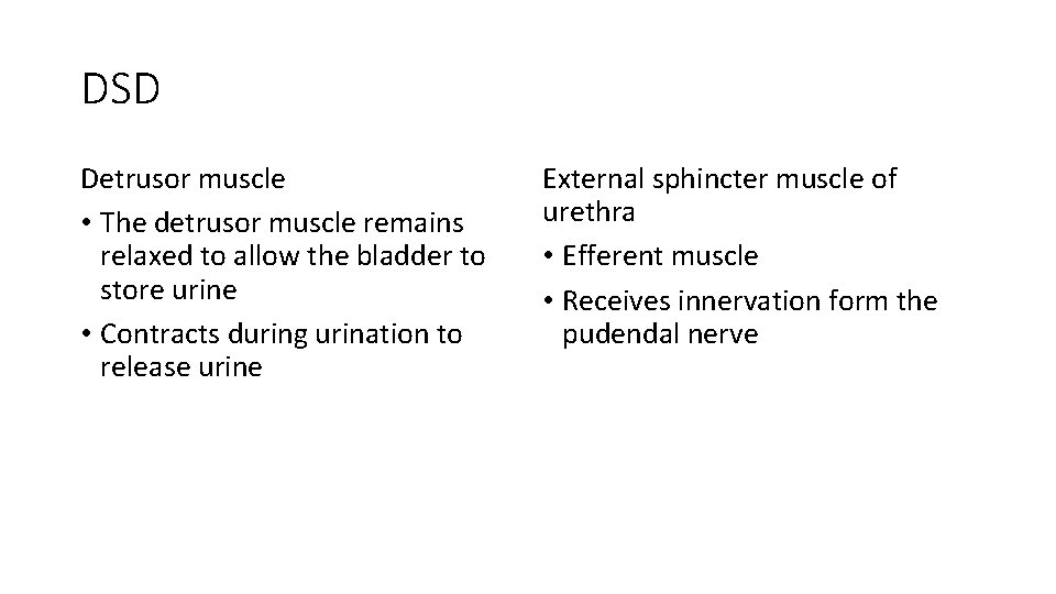 DSD Detrusor muscle • The detrusor muscle remains relaxed to allow the bladder to