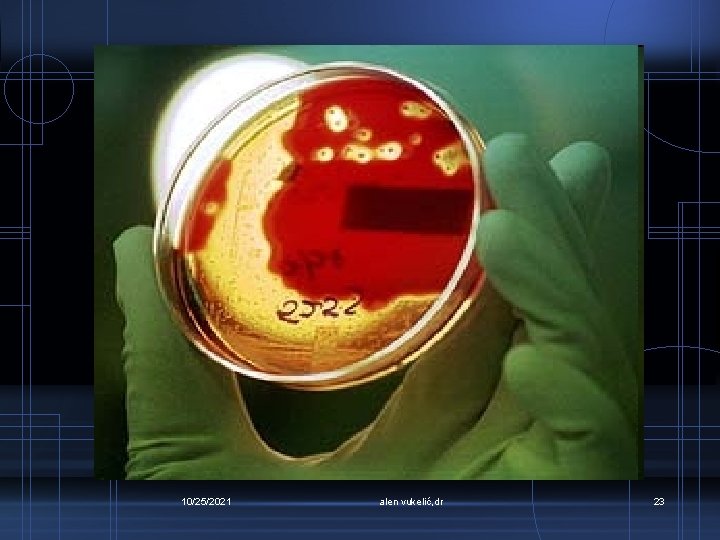 10/25/2021 alen vukelić, dr 23 