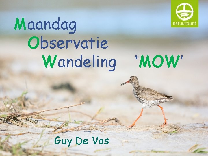 Maandag Observatie Wandeling Guy De Vos ‘MOW’ 