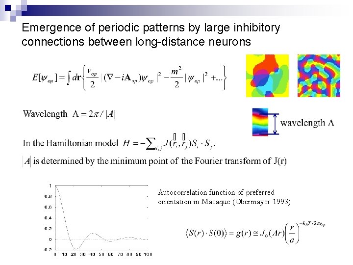 Emergence of periodic patterns by large inhibitory connections between long-distance neurons Autocorrelation function of
