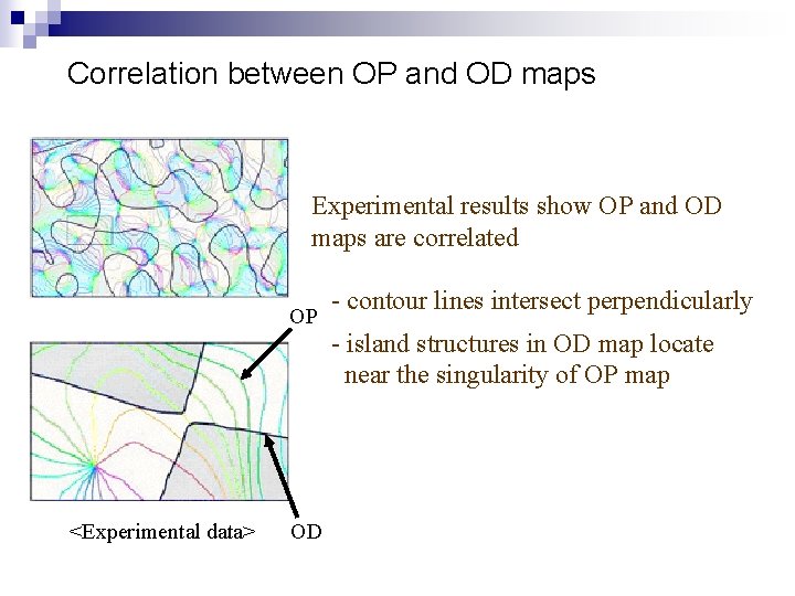 Correlation between OP and OD maps Experimental results show OP and OD maps are