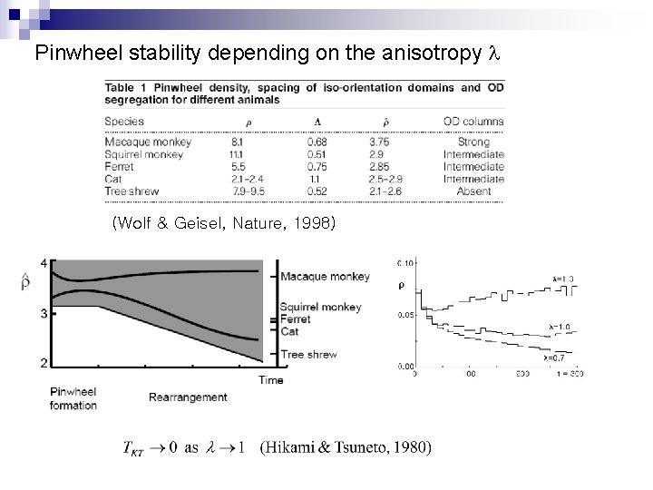 Pinwheel stability depending on the anisotropy l (Wolf & Geisel, Nature, 1998) 