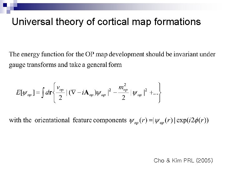 Universal theory of cortical map formations Cho & Kim PRL (2005) 
