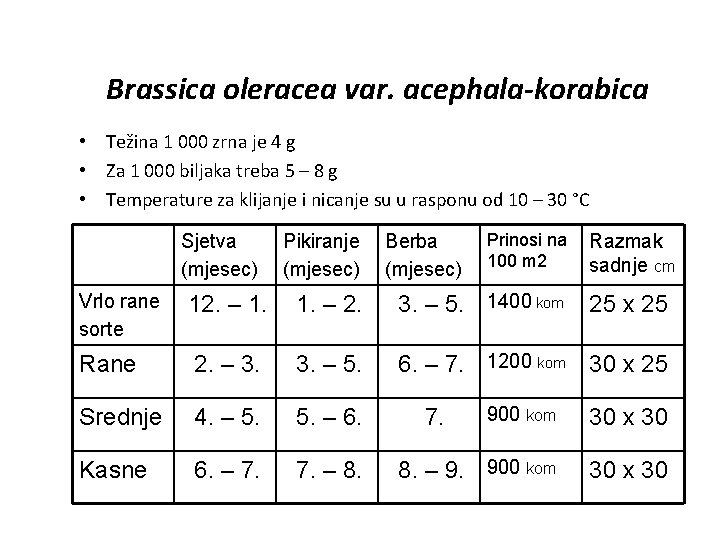 Brassica oleracea var. acephala-korabica • Težina 1 000 zrna je 4 g • Za