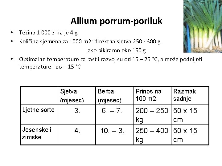 Allium porrum-poriluk • Težina 1 000 zrna je 4 g • Količina sjemena za