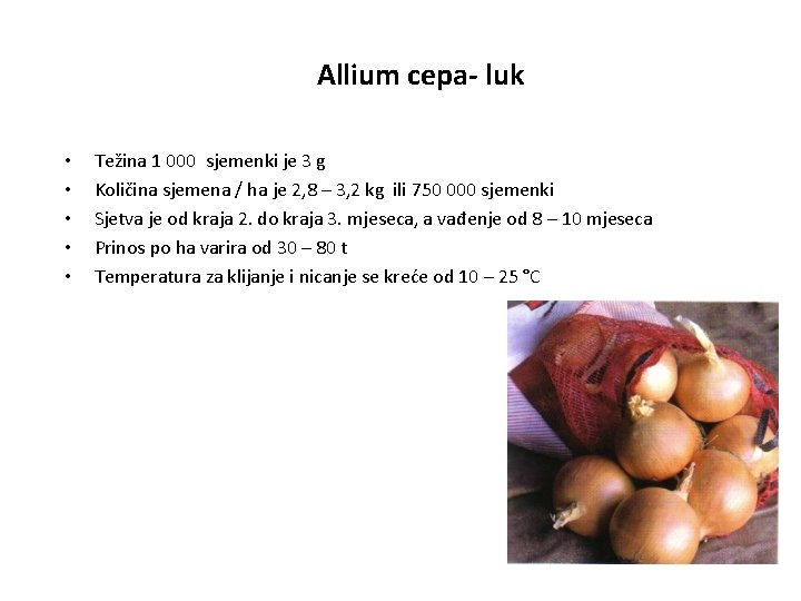 Allium cepa- luk • • • Težina 1 000 sjemenki je 3 g Količina