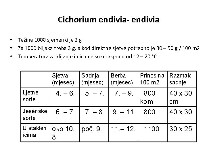 Cichorium endivia- endivia • Težina 1000 sjemenki je 2 g • Za 1000 biljaka