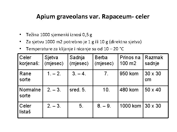 Apium graveolans var. Rapaceum- celer • Težina 1000 sjemenki iznosi 0, 5 g •