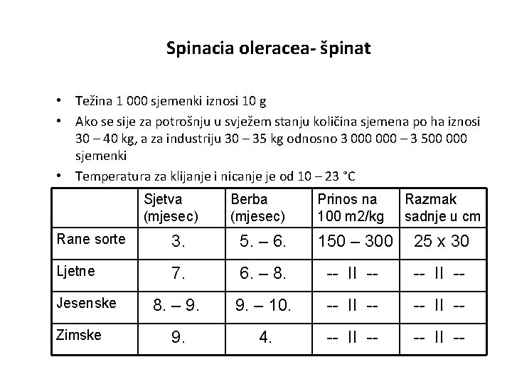 Spinacia oleracea- špinat • Težina 1 000 sjemenki iznosi 10 g • Ako se