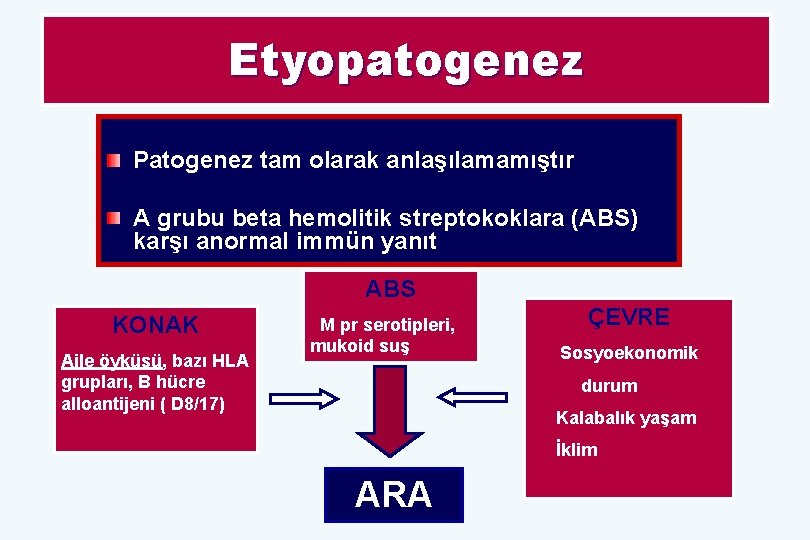 Etyopatogenez Patogenez tam olarak anlaşılamamıştır A grubu beta hemolitik streptokoklara (ABS) karşı anormal immün