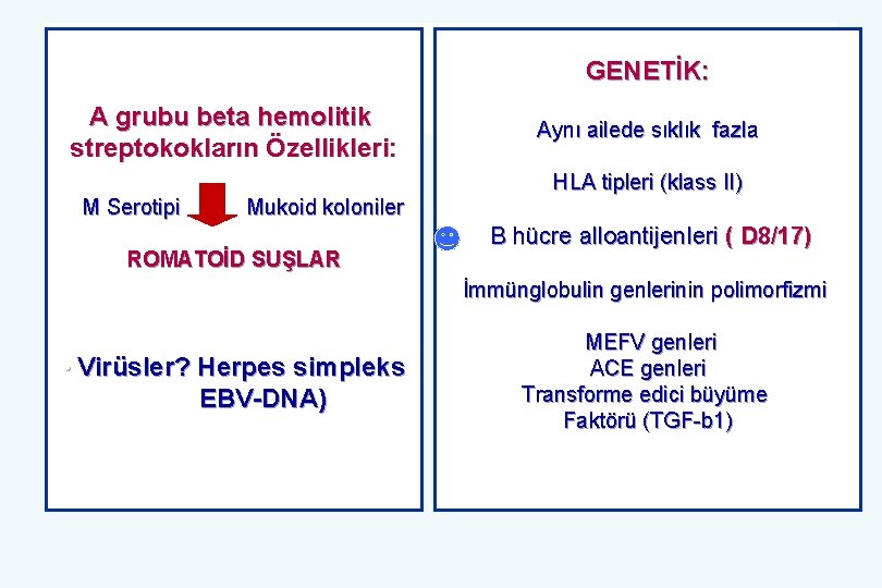 GENETİK: A grubu beta hemolitik streptokokların Özellikleri: M Serotipi Mukoid koloniler ROMATOİD SUŞLAR Aynı