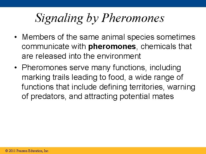 Signaling by Pheromones • Members of the same animal species sometimes communicate with pheromones,