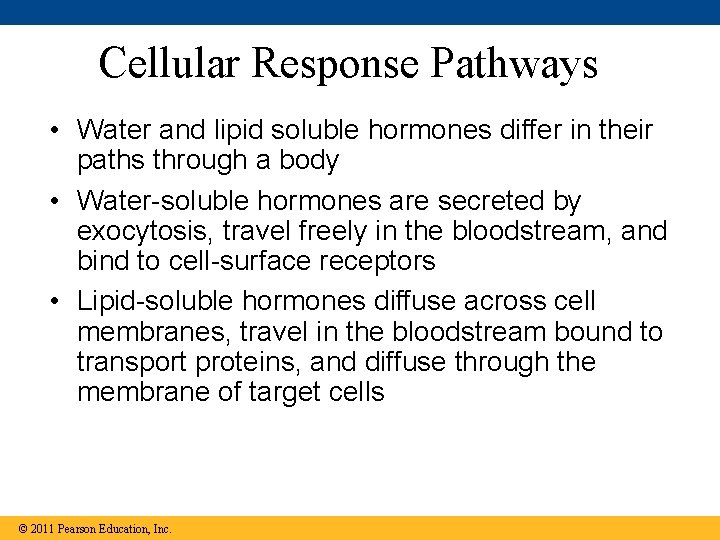 Cellular Response Pathways • Water and lipid soluble hormones differ in their paths through