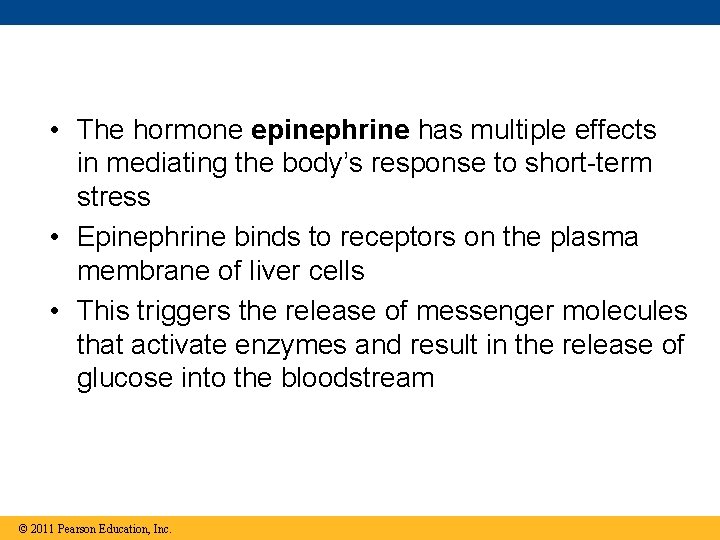  • The hormone epinephrine has multiple effects in mediating the body’s response to