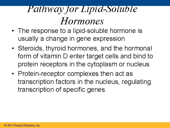 Pathway for Lipid-Soluble Hormones • The response to a lipid-soluble hormone is usually a
