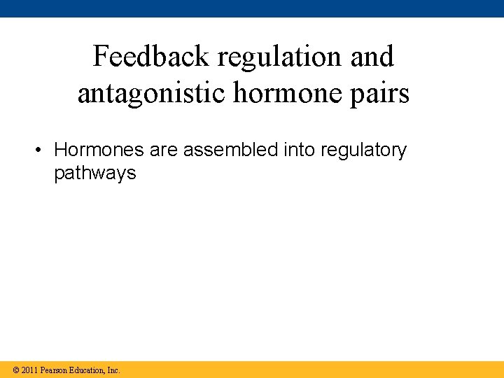 Feedback regulation and antagonistic hormone pairs • Hormones are assembled into regulatory pathways ©