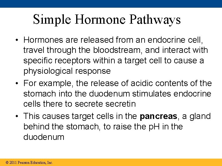 Simple Hormone Pathways • Hormones are released from an endocrine cell, travel through the