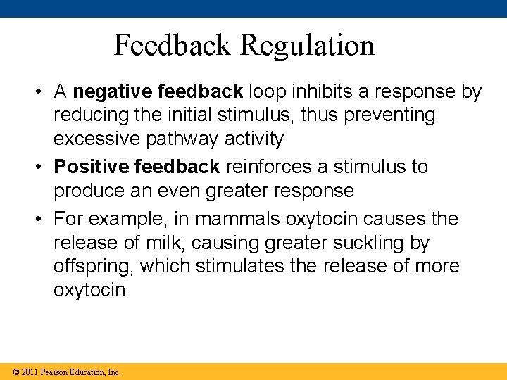 Feedback Regulation • A negative feedback loop inhibits a response by reducing the initial
