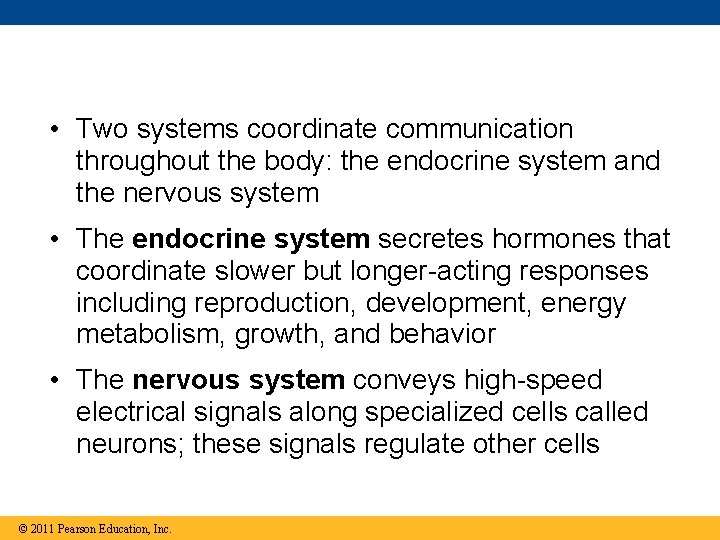 • Two systems coordinate communication throughout the body: the endocrine system and the