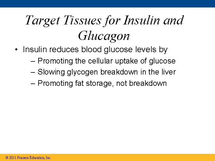 Target Tissues for Insulin and Glucagon • Insulin reduces blood glucose levels by –