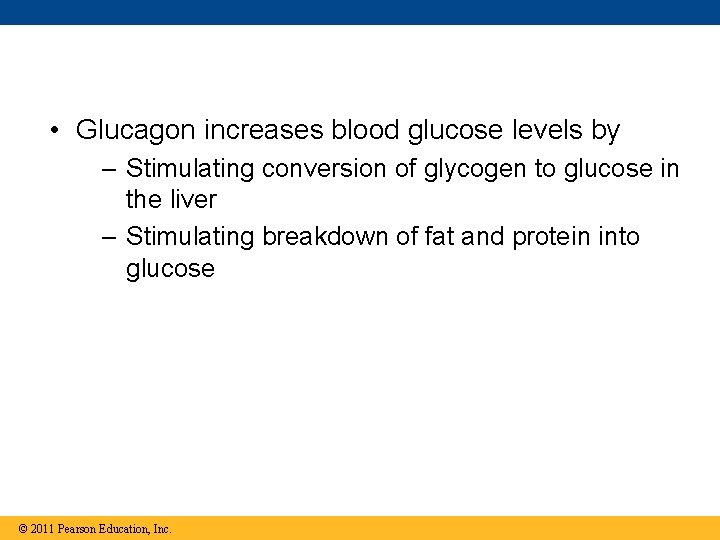  • Glucagon increases blood glucose levels by – Stimulating conversion of glycogen to