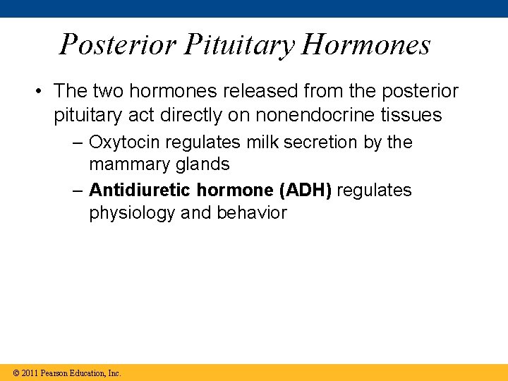 Posterior Pituitary Hormones • The two hormones released from the posterior pituitary act directly