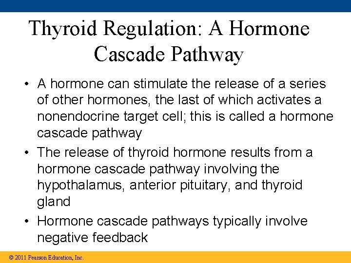 Thyroid Regulation: A Hormone Cascade Pathway • A hormone can stimulate the release of