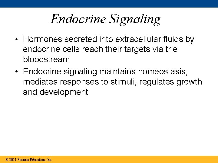 Endocrine Signaling • Hormones secreted into extracellular fluids by endocrine cells reach their targets