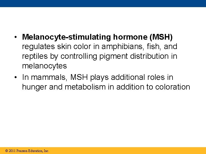  • Melanocyte-stimulating hormone (MSH) regulates skin color in amphibians, fish, and reptiles by