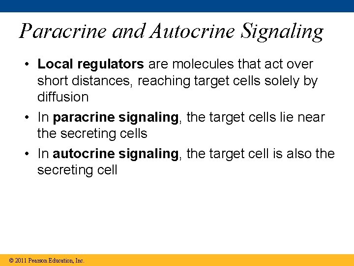 Paracrine and Autocrine Signaling • Local regulators are molecules that act over short distances,