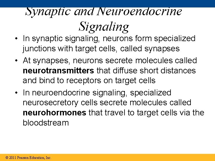 Synaptic and Neuroendocrine Signaling • In synaptic signaling, neurons form specialized junctions with target
