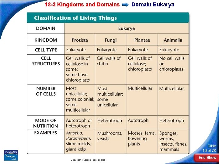 18 -3 Kingdoms and Domains Domain Eukarya Slide 10 of 28 Copyright Pearson Prentice