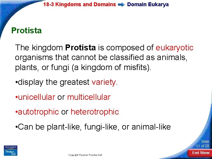 18 -3 Kingdoms and Domains Domain Eukarya Protista The kingdom Protista is composed of