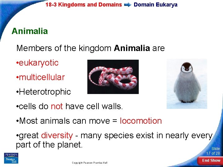 18 -3 Kingdoms and Domains Domain Eukarya Animalia Members of the kingdom Animalia are